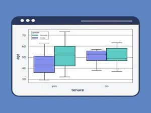 IBM: Introduction to Statistics for Data Science using Python